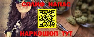 прущие грибы Пушкино